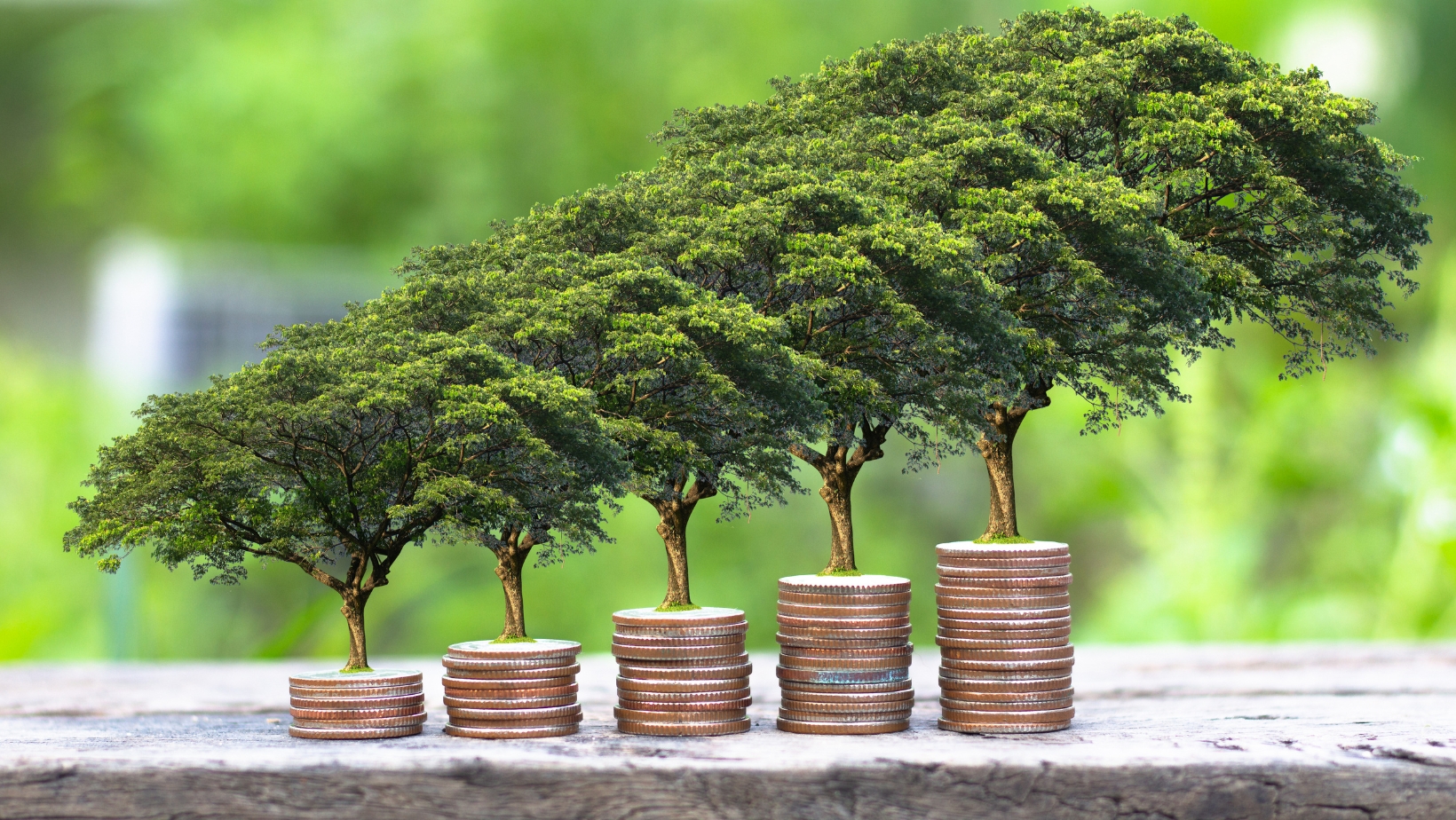 Sustainable Finance News